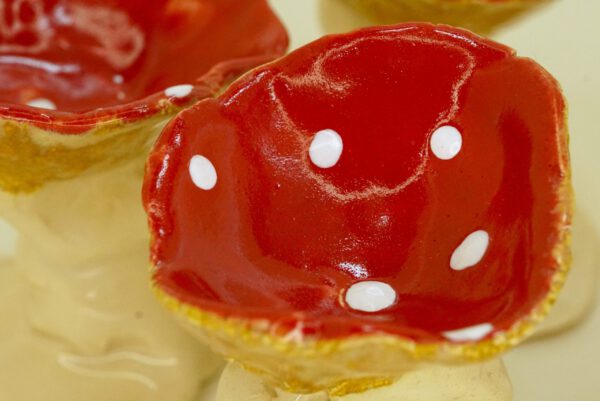 DSC08918 Eierdopjes rood