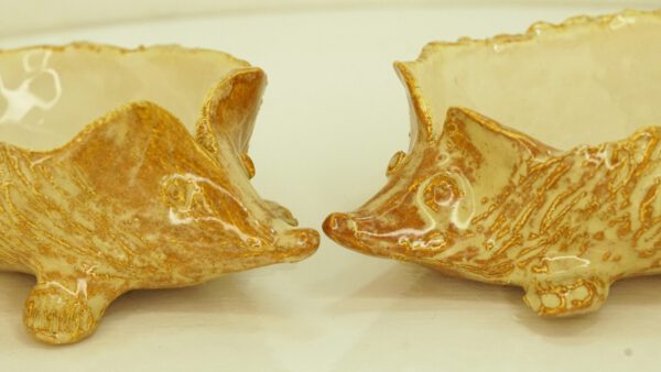 Egel schaaltjes - set van 2