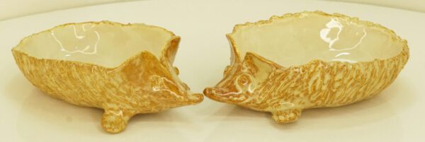 Egel schaaltjes - set van 2